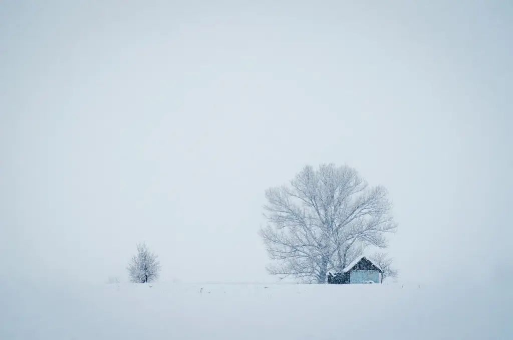 9MRSBJHQVwH5hgb8